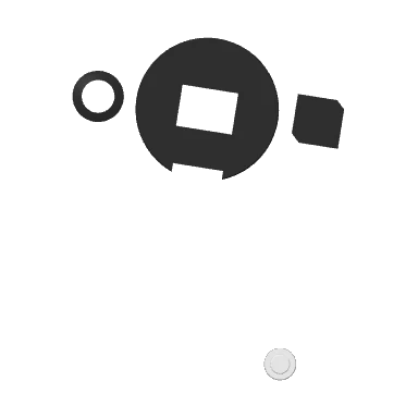 Plate 2: the black core pieces and a white button