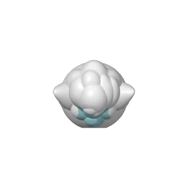 Plate 3: the multicolor top shell in white, light blue and blue